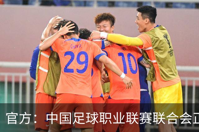 官方：中国足球职业联赛联合会正式成立